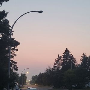 Meet your Posher, Tana